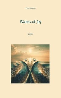bokomslag Wakes of Joy
