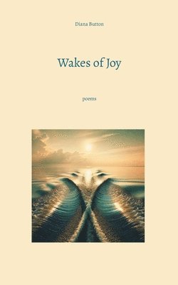 bokomslag Wakes of Joy