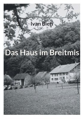 bokomslag Haus im Breitmis