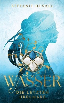 bokomslag Wasser