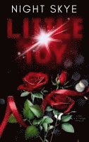 Little Toy 1