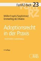 bokomslag Adoptionsrecht in der Praxis