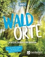 bokomslag DuMont Bildband Waldorte in Mecklenburg Vorpommern