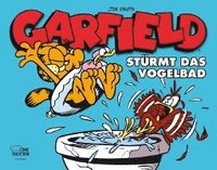bokomslag Garfield - Stürmt das Vogelbad