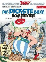 bokomslag Asterix Mundart Ruhrdeutsch VII