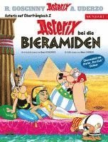 bokomslag Asterix Mundart Oberfränkisch II