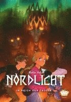bokomslag Nordlicht 04