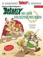 bokomslag Asterix Mundart Oberfränkisch III
