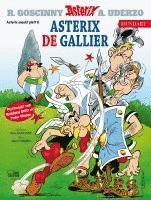 bokomslag Asterix Mundart Plattdeutsch VI