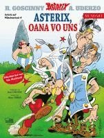 bokomslag Asterix Mundart Münchnerisch IV