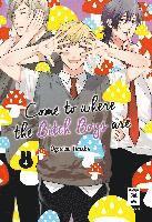 Ogeretsu Tanaka - Come to where the Bitch Boys are 04, Häftad
