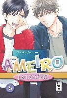 Ameiro Paradox 06 1