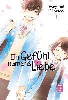 Megumi Morino - Ein Gefühl namens Liebe 01, Häftad