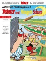 bokomslag Asterix Mundart 67 Unterfränkisch IV