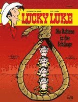 bokomslag Lucky Luke 80 - Die Daltons in der Schlinge