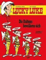 bokomslag Lucky Luke 30 - Die Daltons bewähren sich