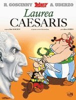 bokomslag Asterix latein 24