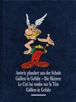 Albert Uderzo, René Goscinny - Asterix Gesamtausgabe 12, Inbunden