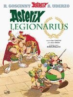 bokomslag Asterix latein 13