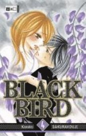 bokomslag Black Bird 04