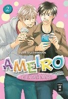 Ameiro Paradox 02 1