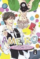 Ameiro Paradox 03 1