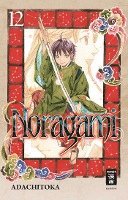 bokomslag Noragami 12