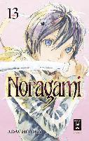 bokomslag Noragami 13