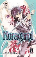 bokomslag Noragami 15