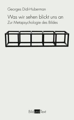 Georges Didi-Huberman - Was wir sehen blickt uns an, Häftad