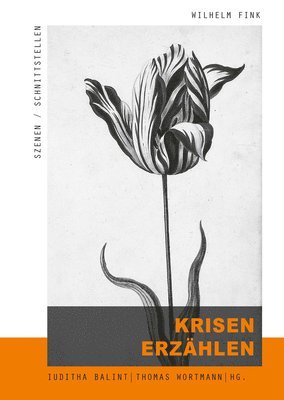 Iuditha Balint, Thomas Wortmann - Krisen Erzahlen, Häftad