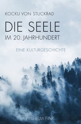 bokomslag Die Seele im 20. Jahrhundert