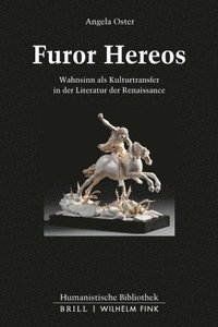 bokomslag Furor Hereos: Heroischer Wahnsinn in Der Renaissance (Ariosto, Tasso, Bruno)