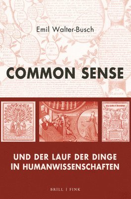 bokomslag Common Sense Und Der Lauf Der Dinge in Humanwissenschaften