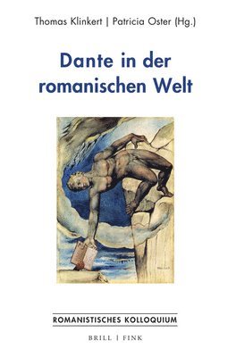bokomslag Dante in der romanischen Welt