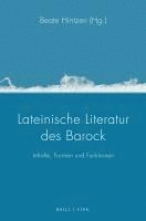 bokomslag Lateinische Literatur des Barock