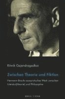 bokomslag Zwischen Theorie und Fiktion