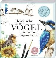 bokomslag Heimische Vögel zeichnen und aquarellieren