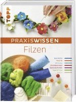 PraxisWissen Filzen 1