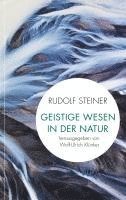 Rudolf Steiner, Wolf-Ulrich Klünker - Geistige Wesen in der Natur, Häftad