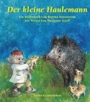 bokomslag Der kleine Haulemann