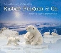 bokomslag Eisbär, Pinguin & Co.
