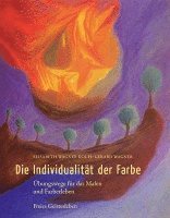 bokomslag Die Individualität der Farbe