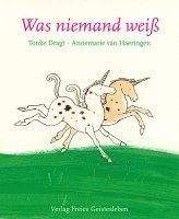 Tonke Dragt - Was niemand weiß, Inbunden