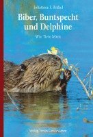 Biber, Buntspecht und Delphine 1