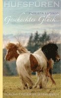 bokomslag Hufspuren. Geschecktes Glück