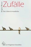 Brigitte Werner - Zufälle, Häftad