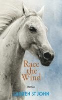 bokomslag Race the Wind 02