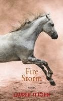 bokomslag Fire Storm