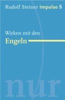 bokomslag Wirken mit den Engeln